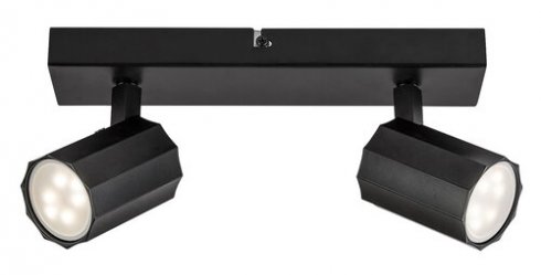 Stropní svítidlo RA 73024-2