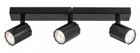 Stropní svítidlo RA 73025-2