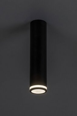 Stropní svítidlo RA 73031-2