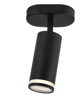 Stropní svítidlo RA 73033-2