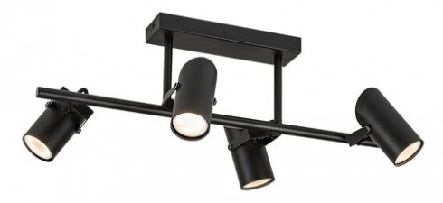 Stropní svítidlo RA 73044-2