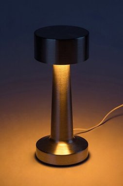Pokojová stolní lampa RA 74208-1