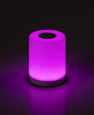 Pokojová stolní lampa RA 74209-5