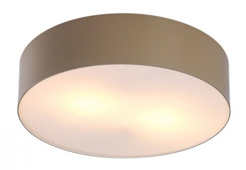 Venkovní svítidlo nástěnné/stropní RA 75067-1