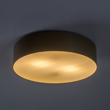 Venkovní svítidlo nástěnné/stropní RA 75067-2