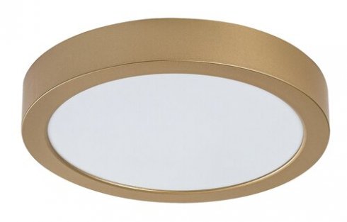 Venkovní svítidlo nástěnné/stropní RA 75078-1
