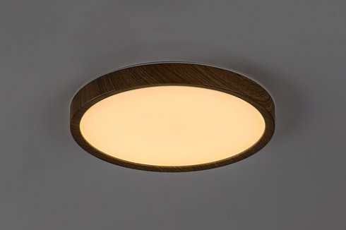 Venkovní svítidlo nástěnné/stropní RA 75082-2