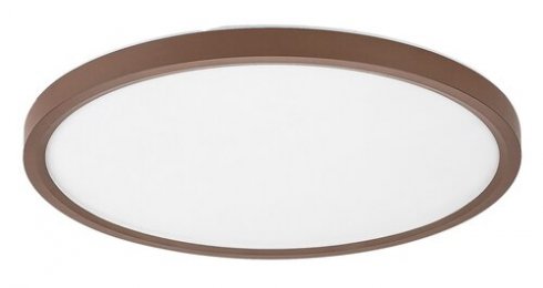 Venkovní svítidlo nástěnné/stropní RA 75083-1