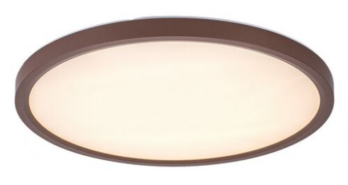 Venkovní svítidlo nástěnné/stropní RA 75083