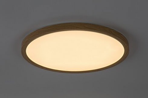 Venkovní svítidlo nástěnné/stropní RA 75085-2