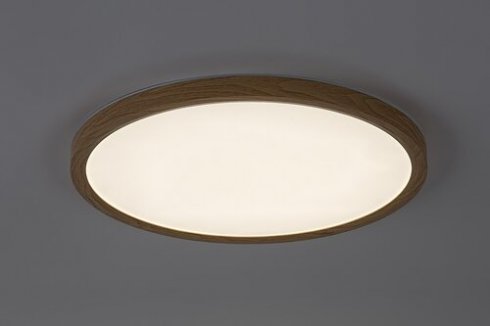 Venkovní svítidlo nástěnné/stropní RA 75085-3