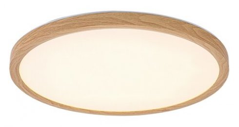 Venkovní svítidlo nástěnné/stropní RA 75085