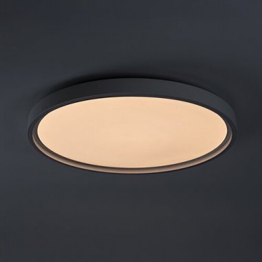 Stropní svítidlo RA 75087-2