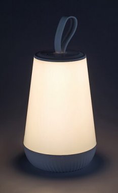 Pokojová stolní lampa RA 76019-2