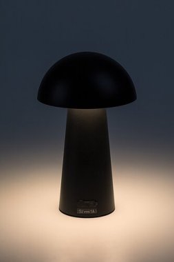 Pokojová stolní lampa RA 76036-2