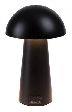 Pokojová stolní lampa RA 76036