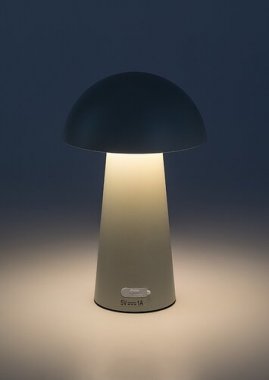 Pokojová stolní lampa RA 76037-2