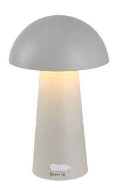 Pokojová stolní lampa RA 76037