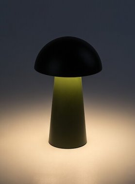 Pokojová stolní lampa RA 76038-2