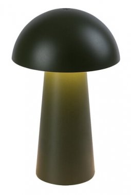 Pokojová stolní lampa RA 76038