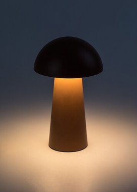 Pokojová stolní lampa RA 76039-2
