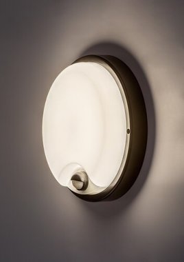 Venkovní svítidlo nástěnné/stropní RA 77213-2