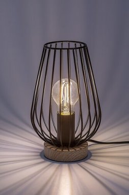 LED zdroj RA 79191-2