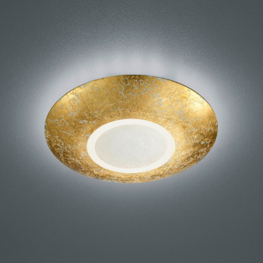 Stropní svítidlo LED  TR 624110279