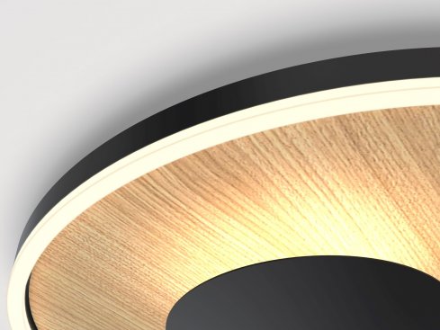 Stropní svítidlo LED  WO 9013-306L-1