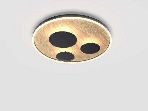 Stropní svítidlo LED  WO 9013-306L-2