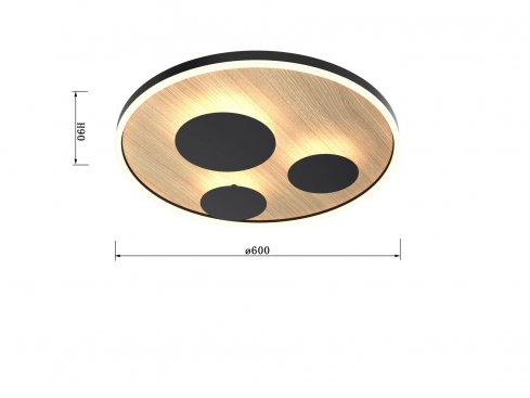 Stropní svítidlo LED  WO 9013-306L-3