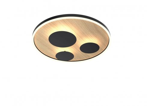 Stropní svítidlo LED  WO 9013-306L-5