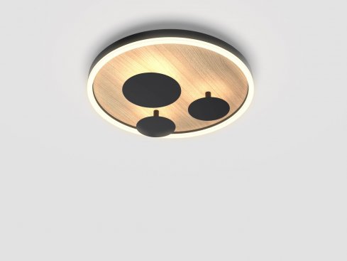 Stropní svítidlo LED  WO 9013-306S-2